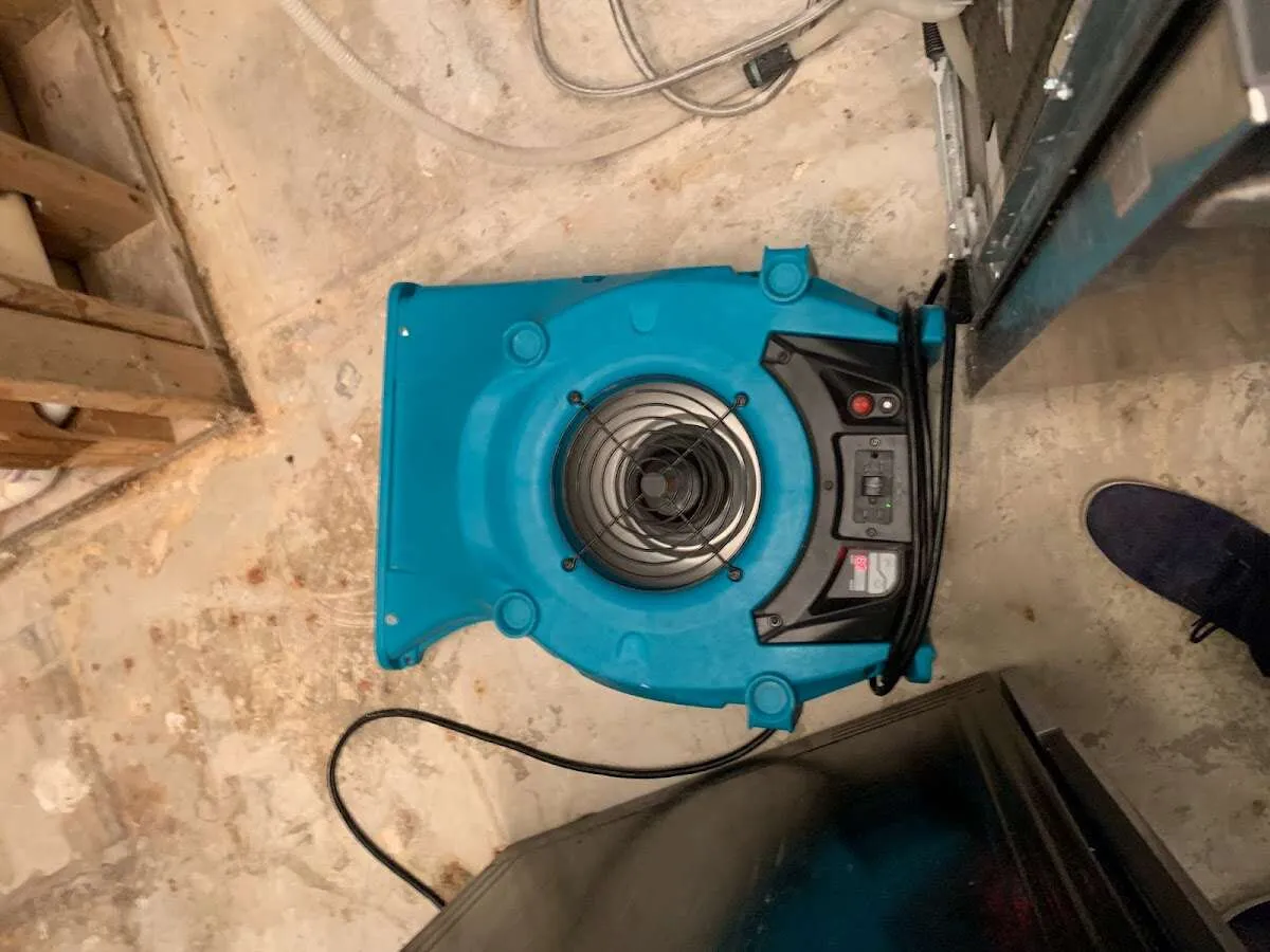 Air mover drying equipment for Mold Remediation & Removal in Claremont